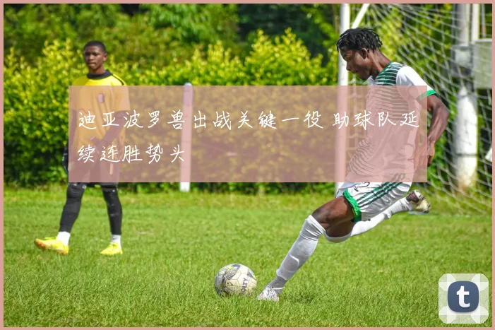 迪亚波罗兽出战关键一役 助球队延续连胜势头