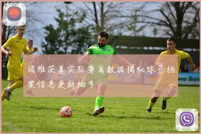 诺维茨基实际身高数据揭秘球员档案信息更新细节
